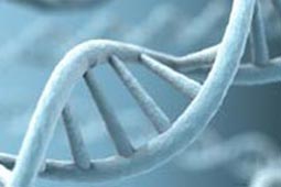 每天都进步的ddos网页版